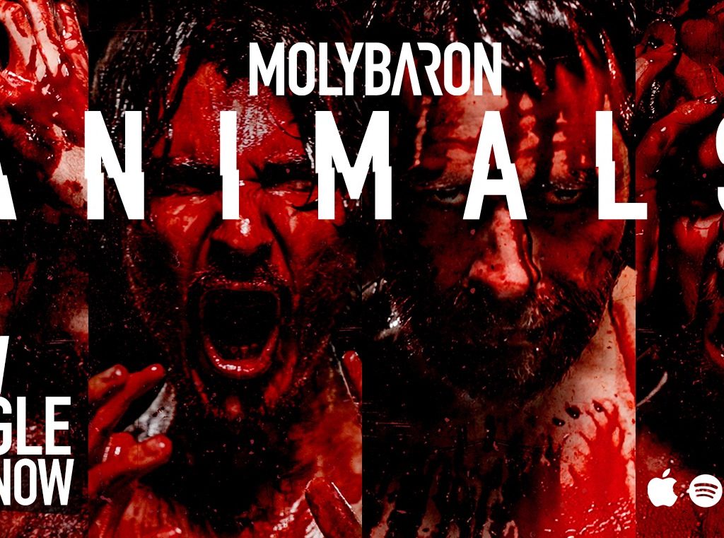 Molybaron Animaux