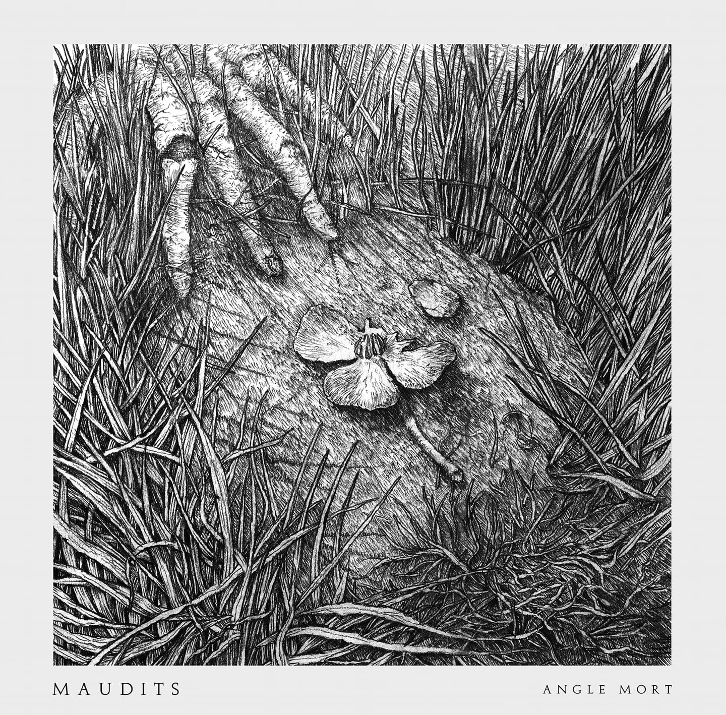 Magnifique gravure de ce nouvel album, avec la fleur emblématique du groupe.