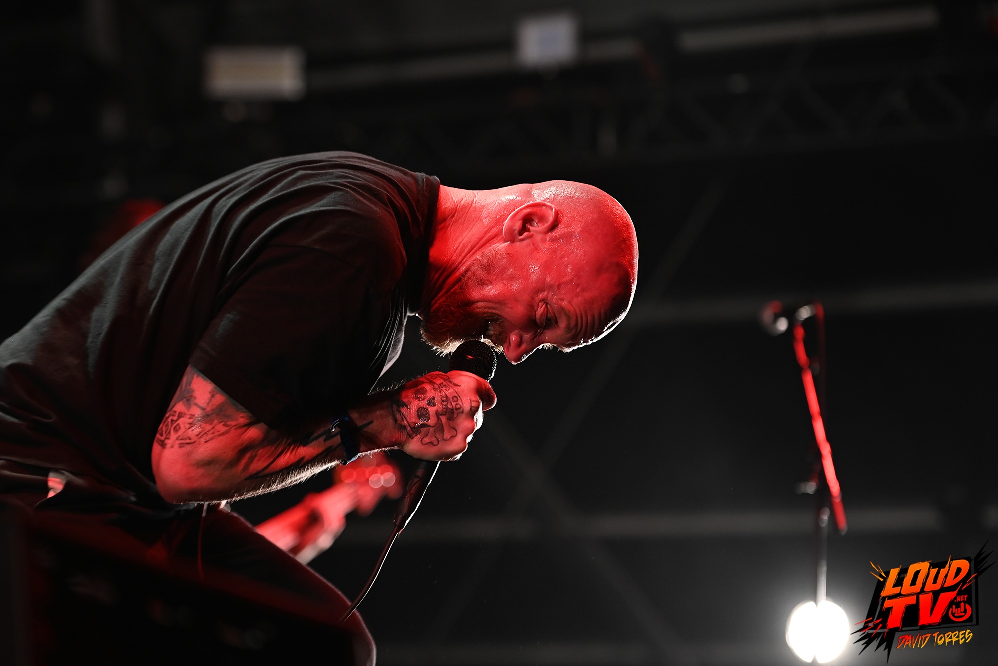 HELLFEST - Les photos du Jour 3 88 HELLFEST - Les photos du Jour 3