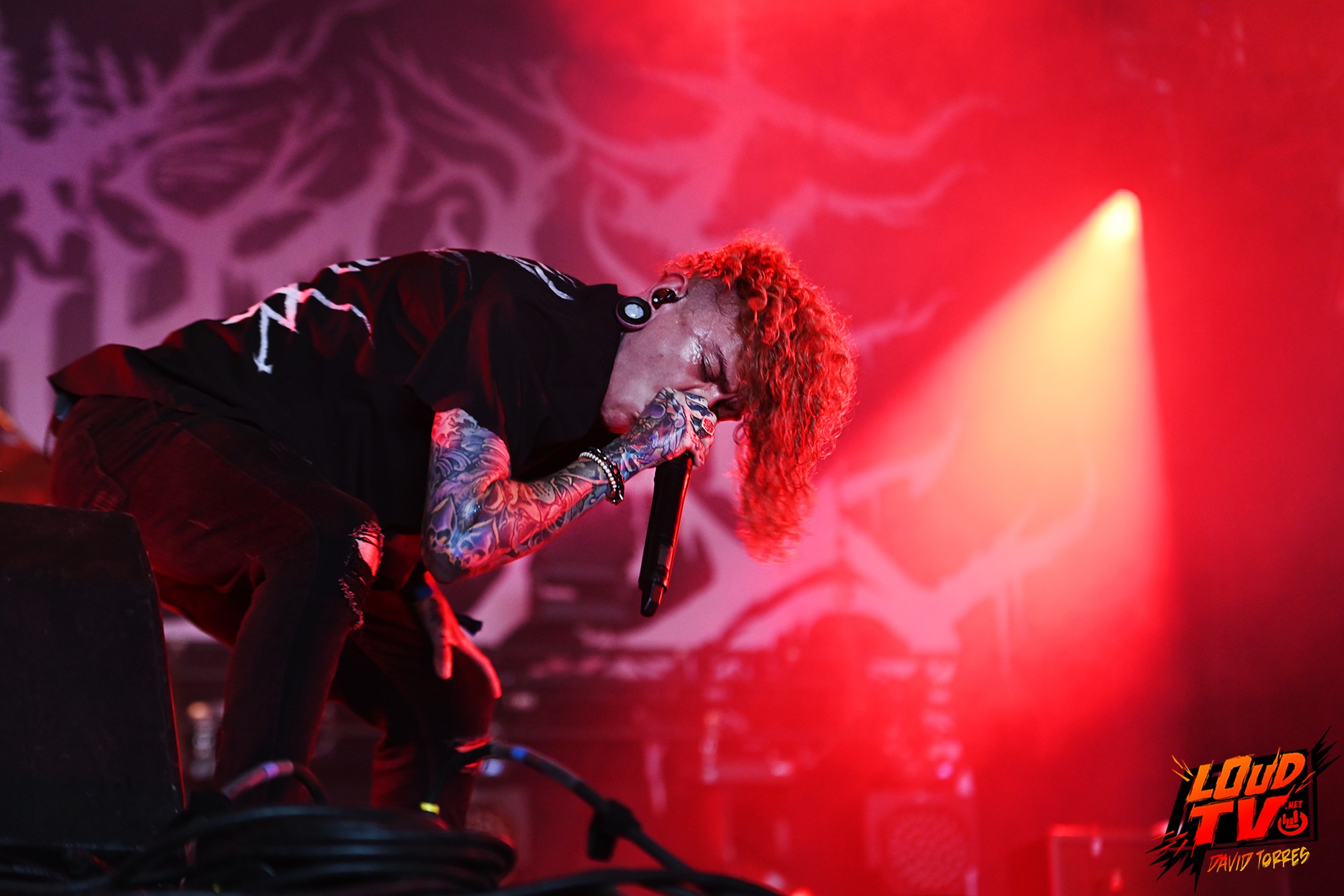 HELLFEST - Les photos du Jour 3 78 Will Ramos de Lorna Shore