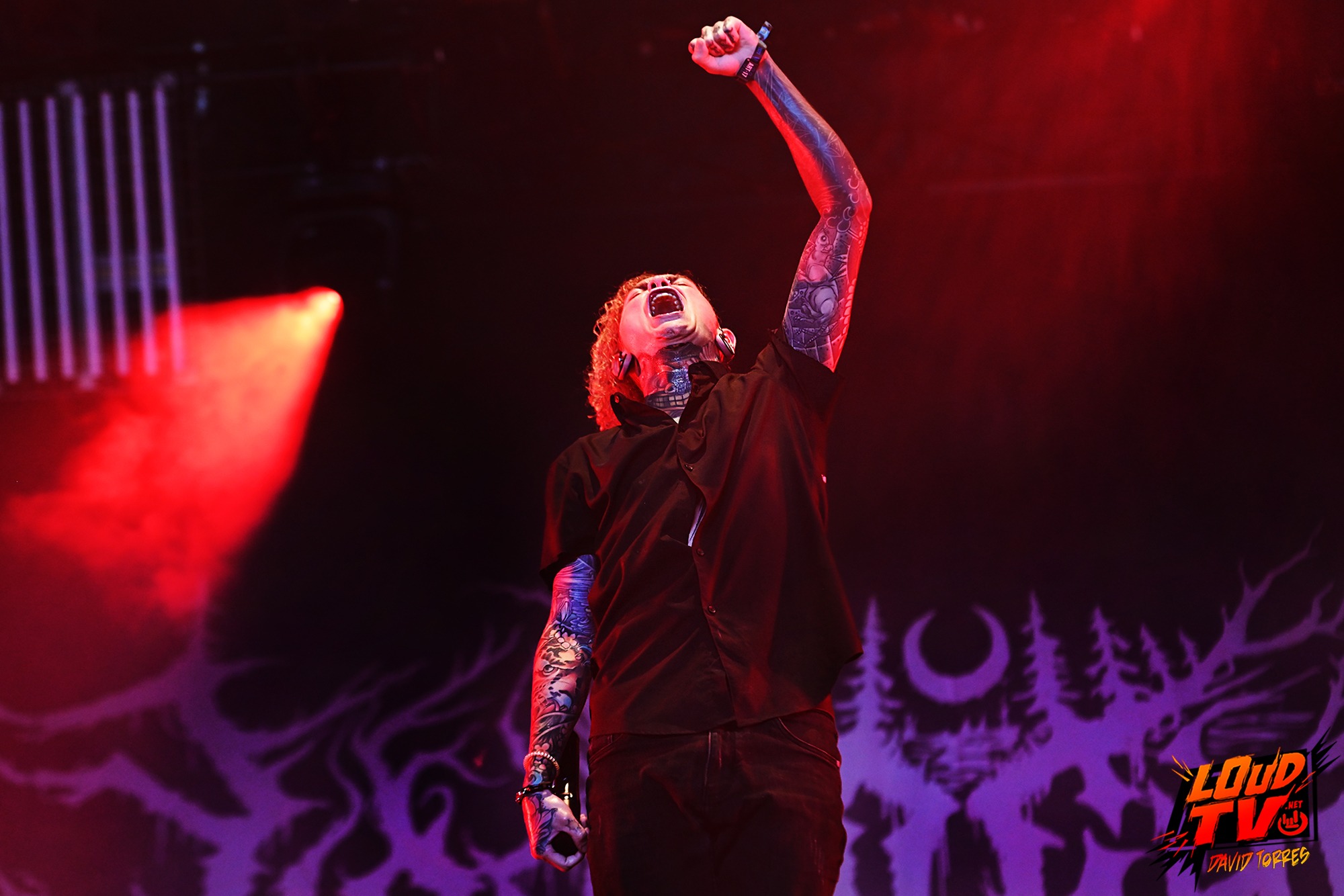 HELLFEST - Les photos du Jour 3 81 HELLFEST - Les photos du Jour 3