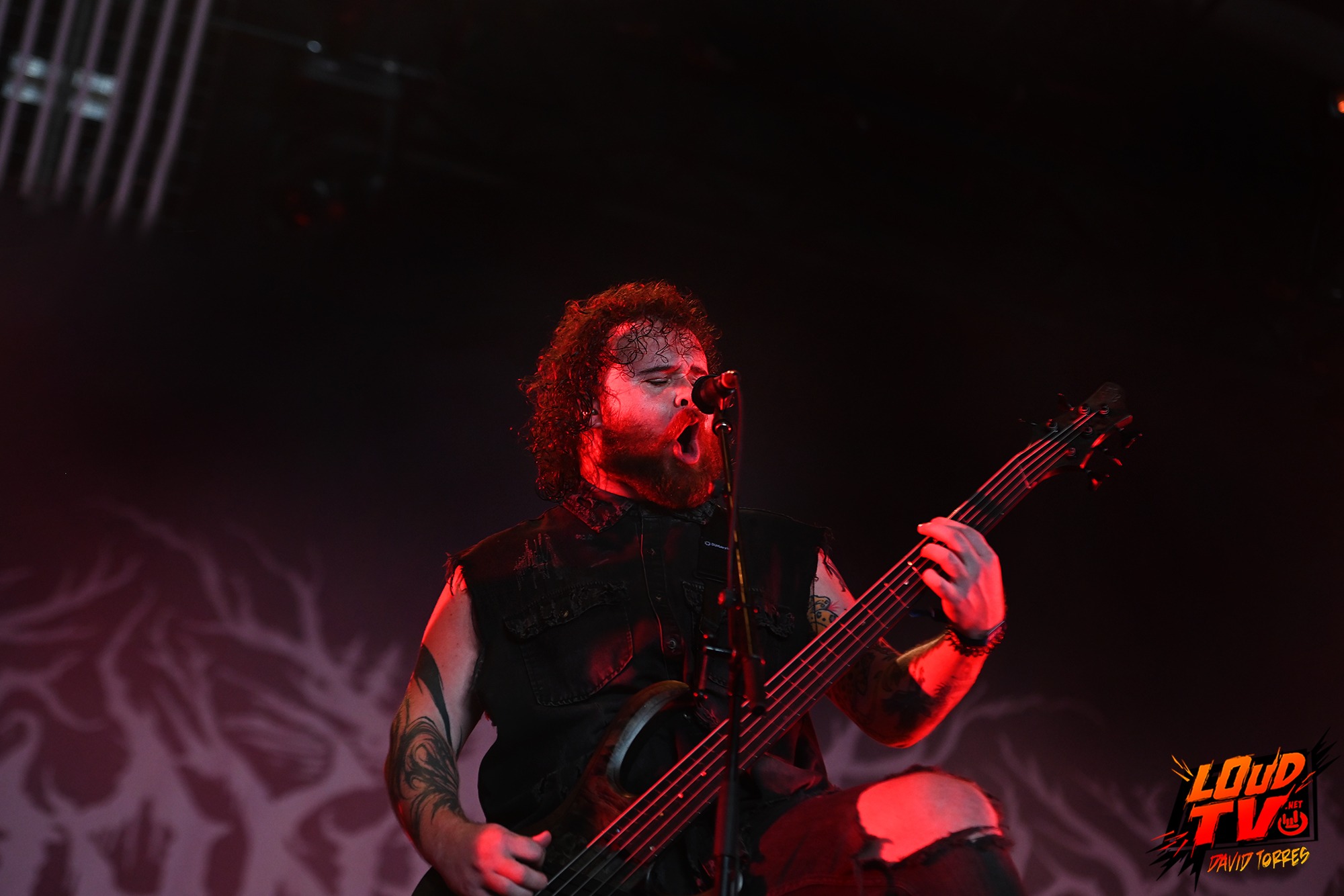 HELLFEST - Les photos du Jour 3 84 HELLFEST - Les photos du Jour 3