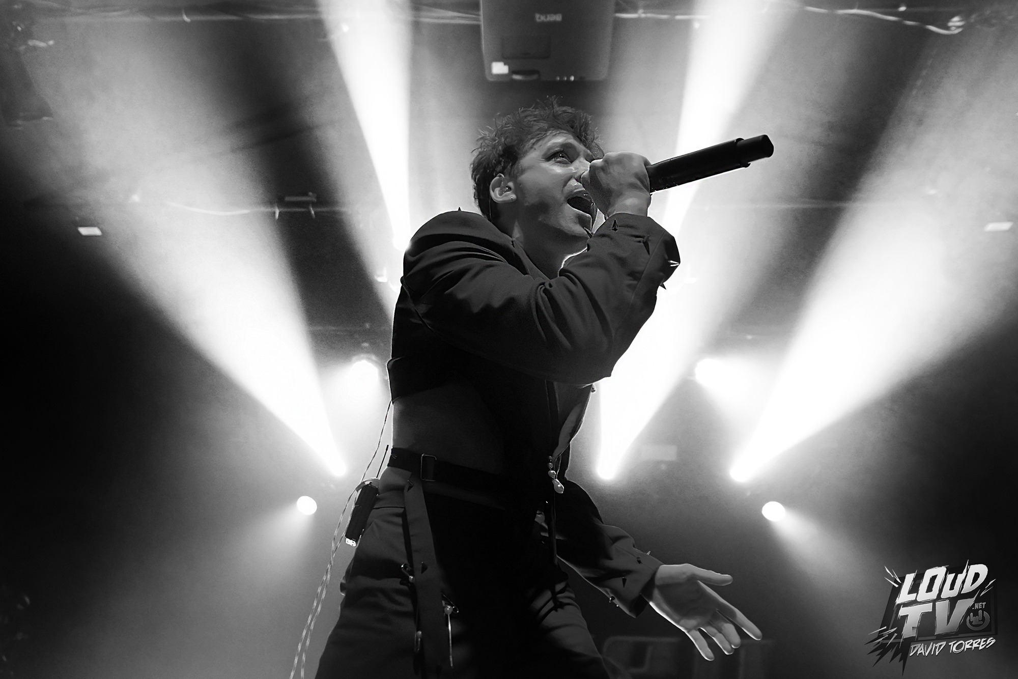 Novelists + The Dali Thundering Concepts + Ashen au Rex le 8/12/2023