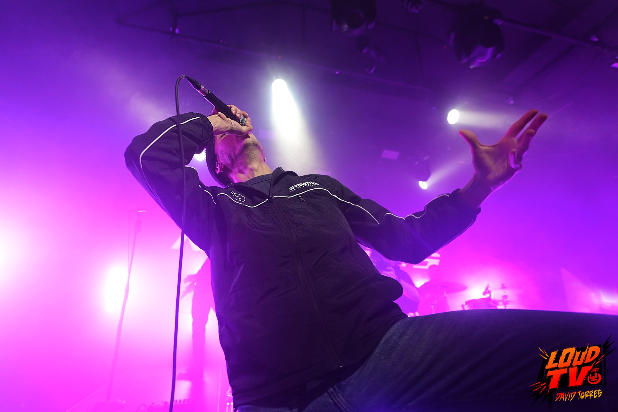 Novelists + The Dali Thundering Concepts + Ashen au Rex le 8/12/2023