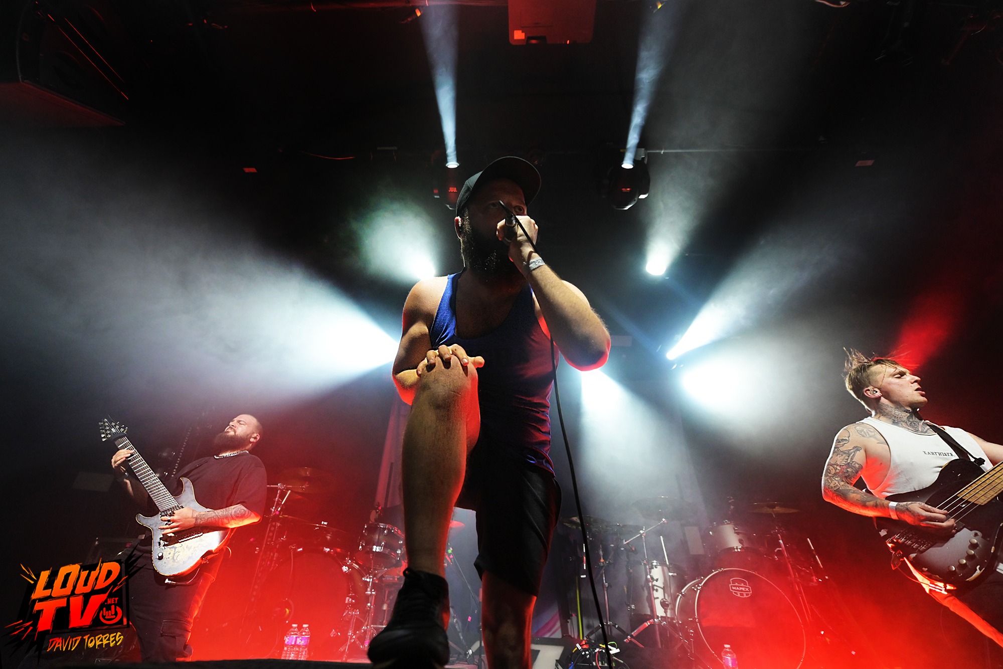 Novelists + The Dali Thundering Concepts + Ashen au Rex le 8/12/2023