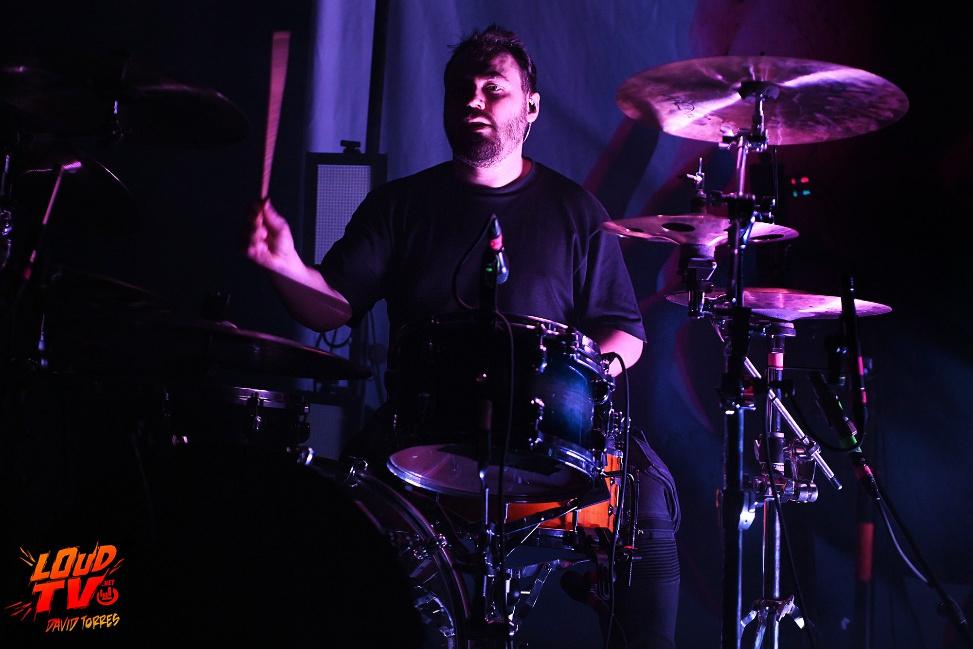 Novelists + The Dali Thundering Concepts + Ashen au Rex le 8/12/2023