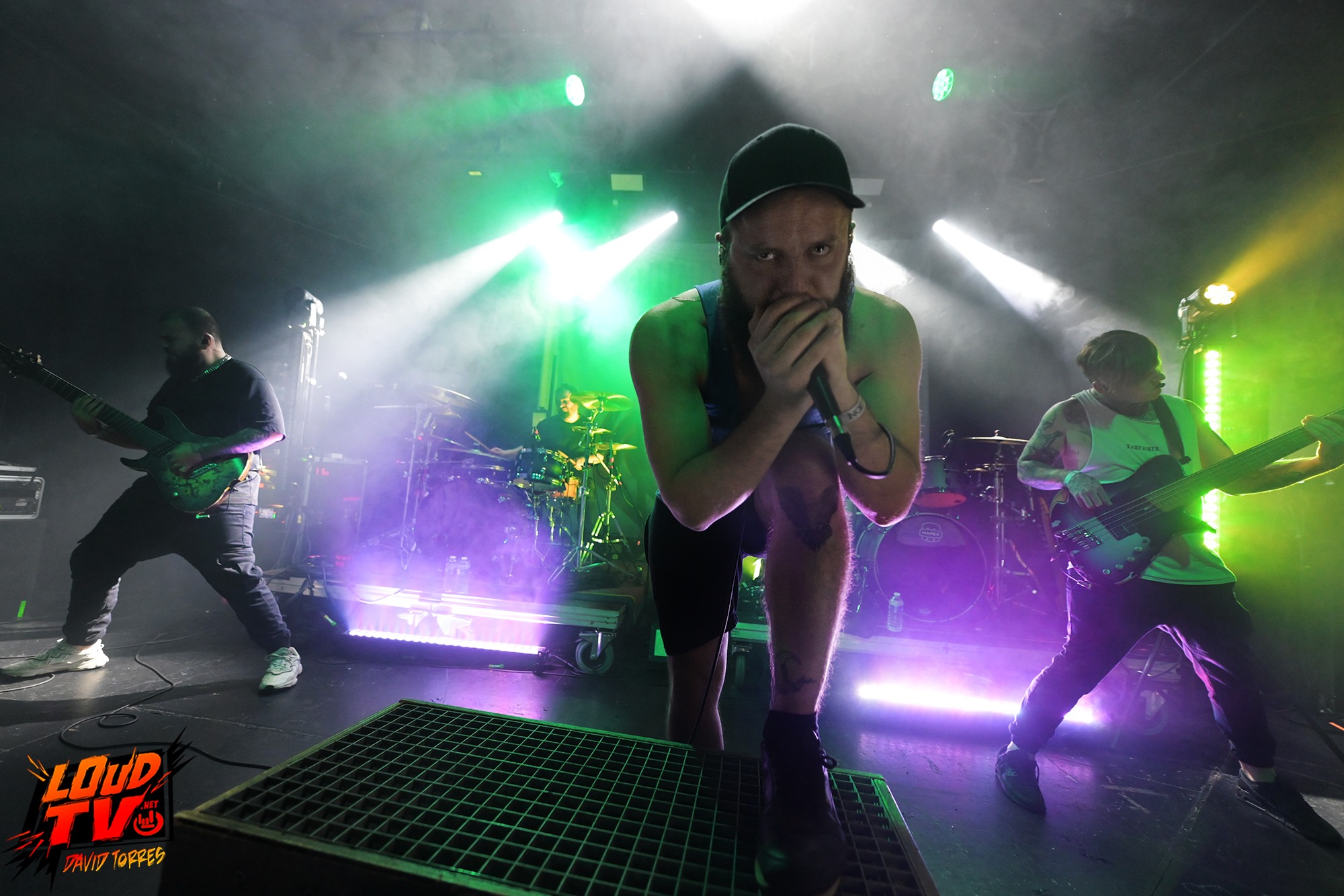 Novelists + The Dali Thundering Concepts + Ashen au Rex le 8/12/2023