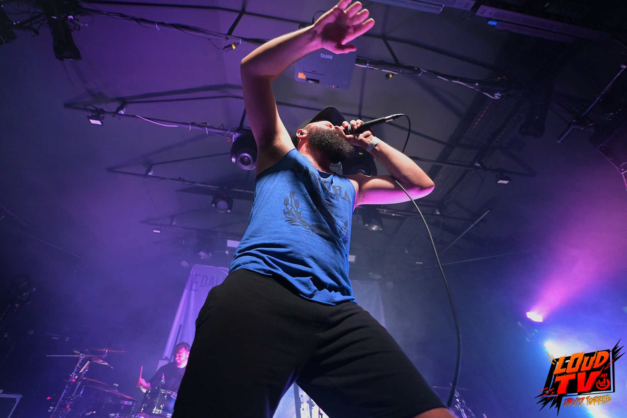 Novelists + The Dali Thundering Concepts + Ashen au Rex le 8/12/2023