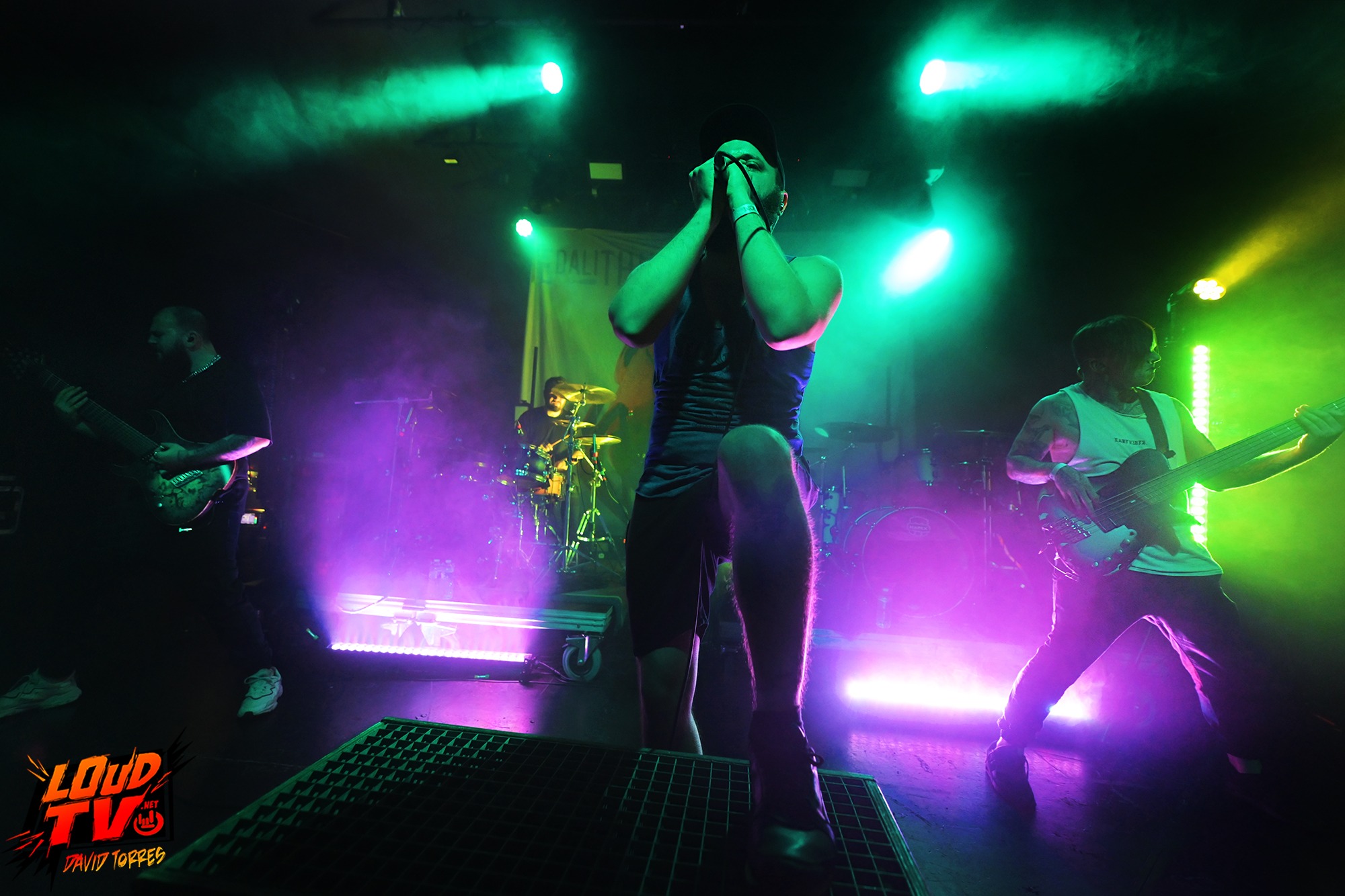 Novelists + The Dali Thundering Concepts + Ashen au Rex le 8/12/2023