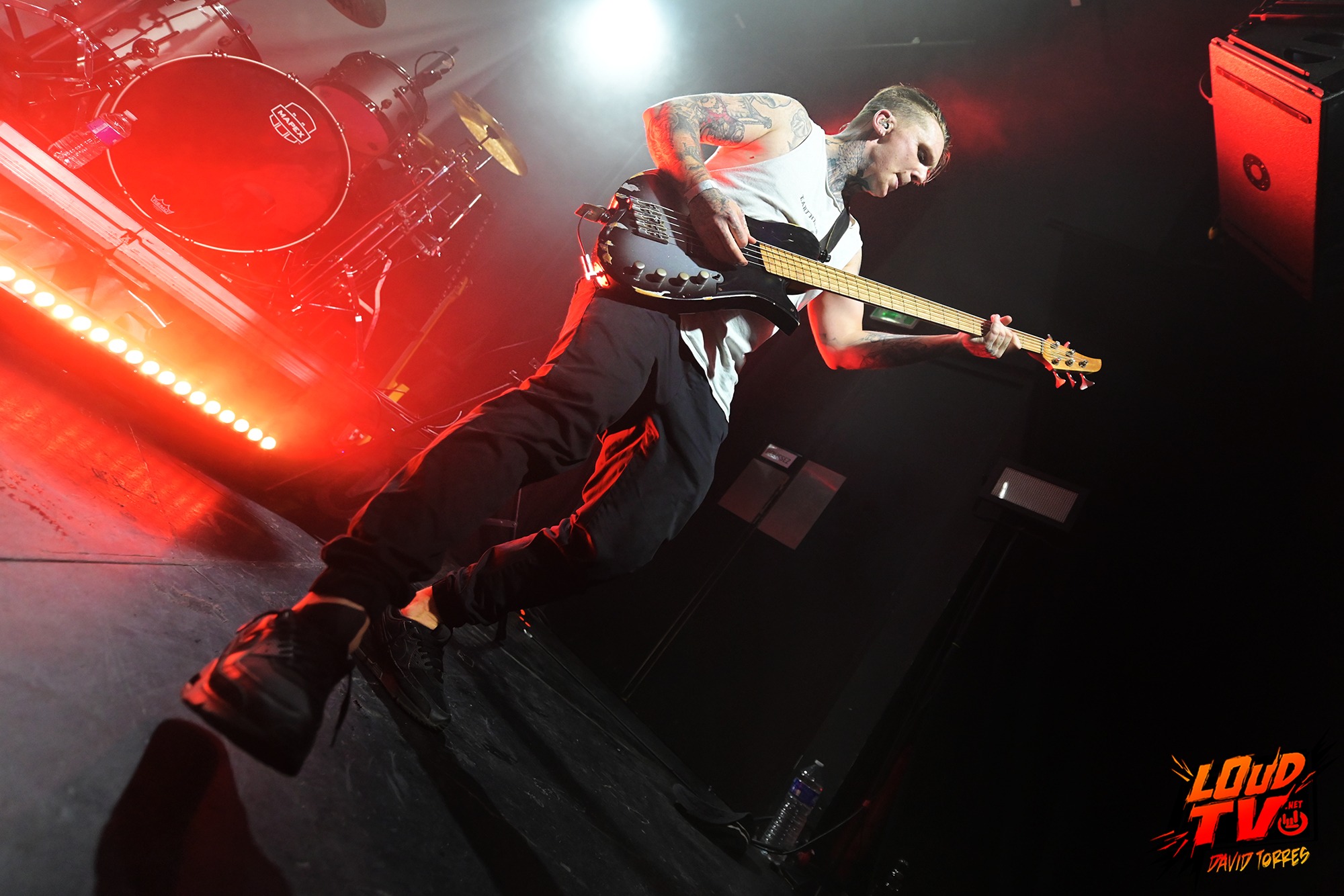 Novelists + The Dali Thundering Concepts + Ashen au Rex le 8/12/2023