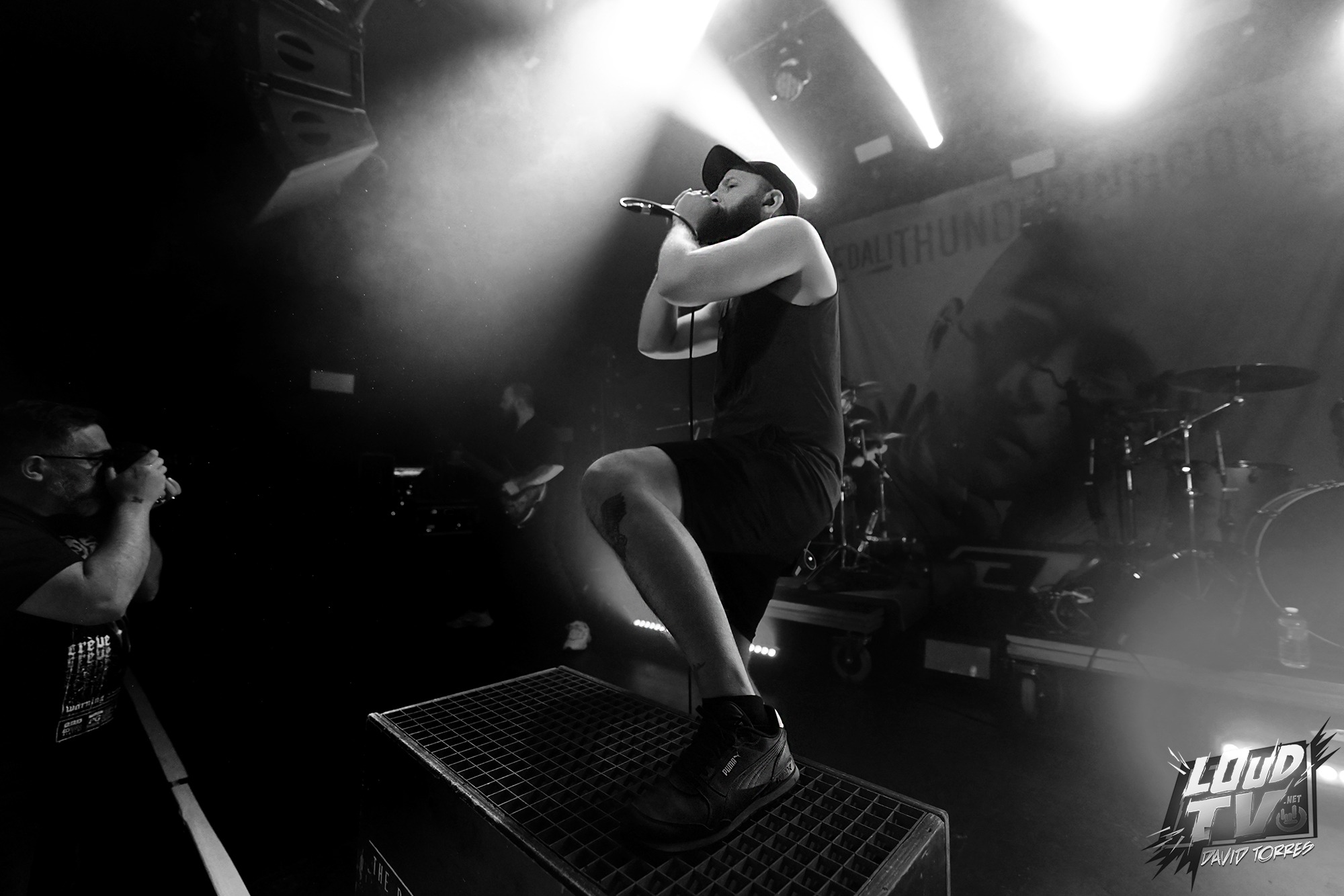 Novelists + The Dali Thundering Concepts + Ashen au Rex le 8/12/2023