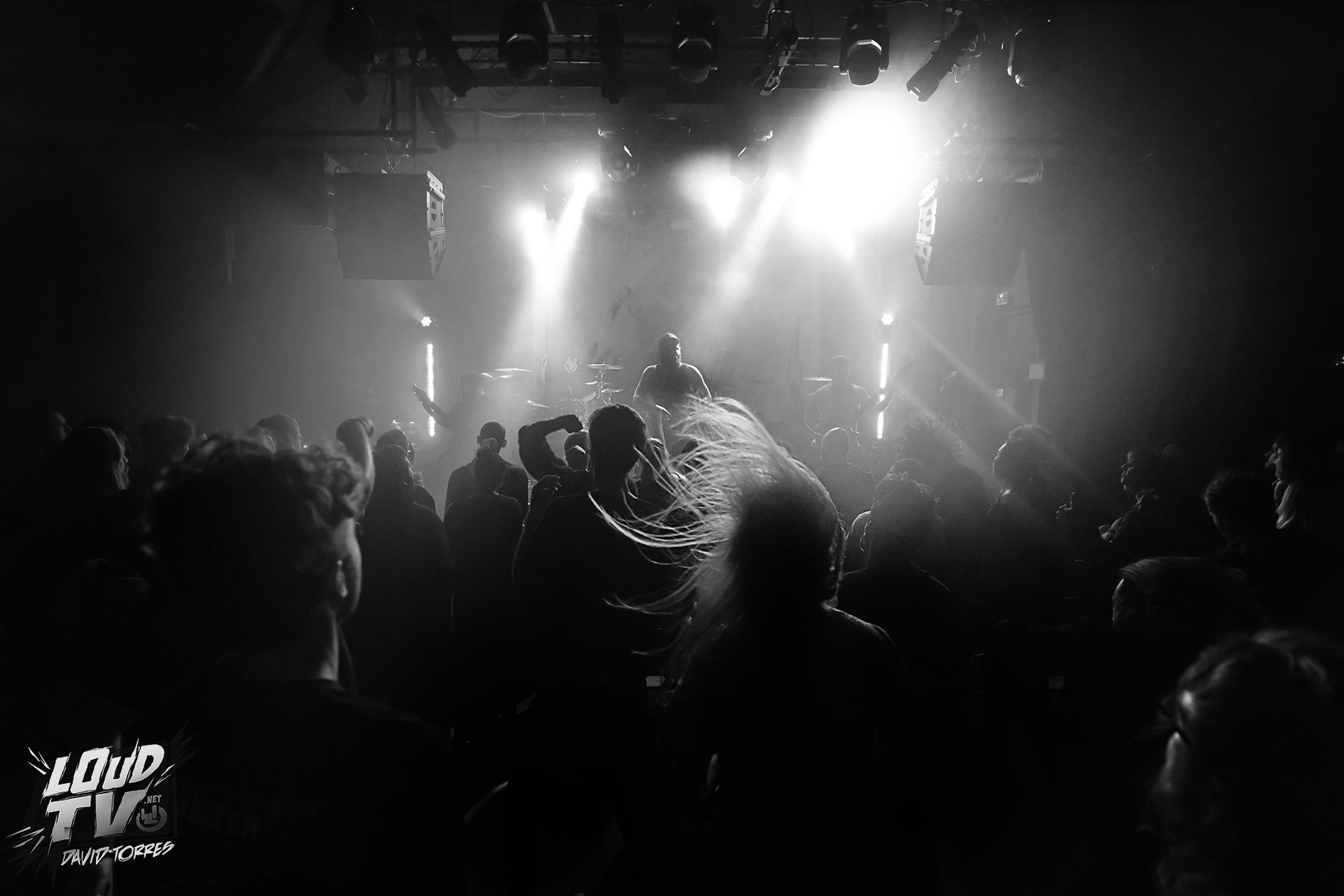 Novelists + The Dali Thundering Concepts + Ashen au Rex le 8/12/2023