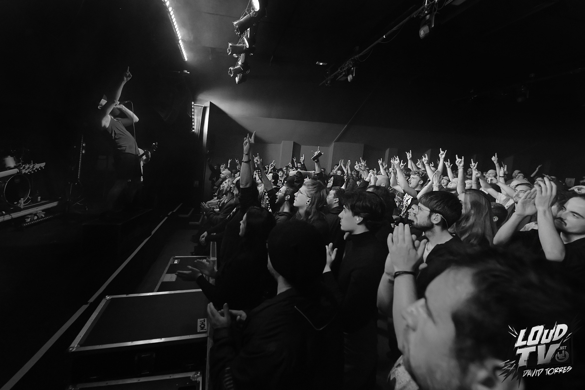 Novelists + The Dali Thundering Concepts + Ashen au Rex le 8/12/2023