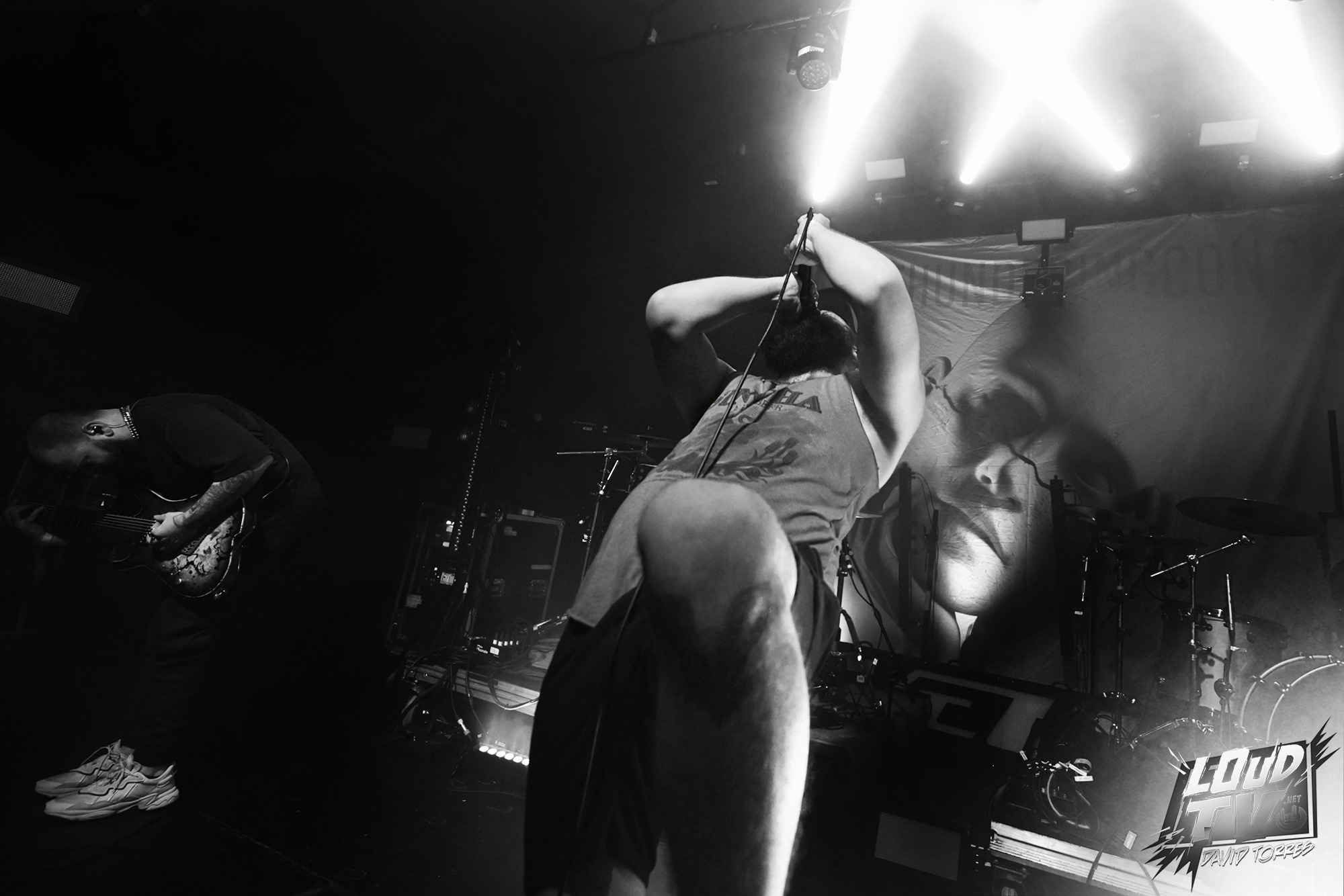 Novelists + The Dali Thundering Concepts + Ashen au Rex le 8/12/2023