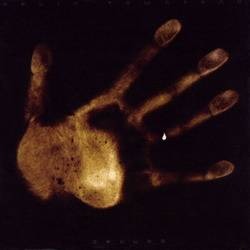 DEVIN TOWNSEND : LE SUPERMAN DE L’EMOTION 14 DEVLAB