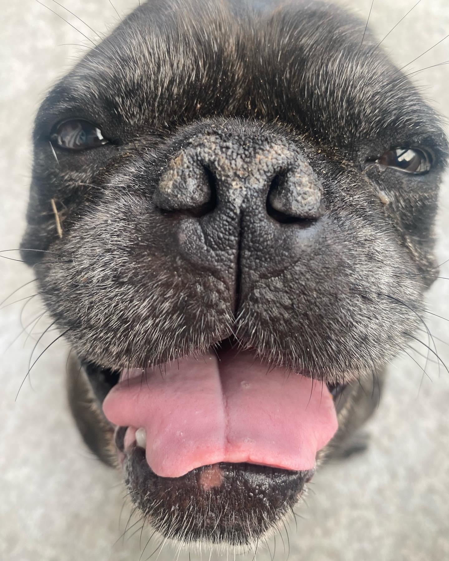 DEVIN TOWNSEND : LE SUPERMAN DE L’EMOTION 4 OH POWERNERDDDDDD