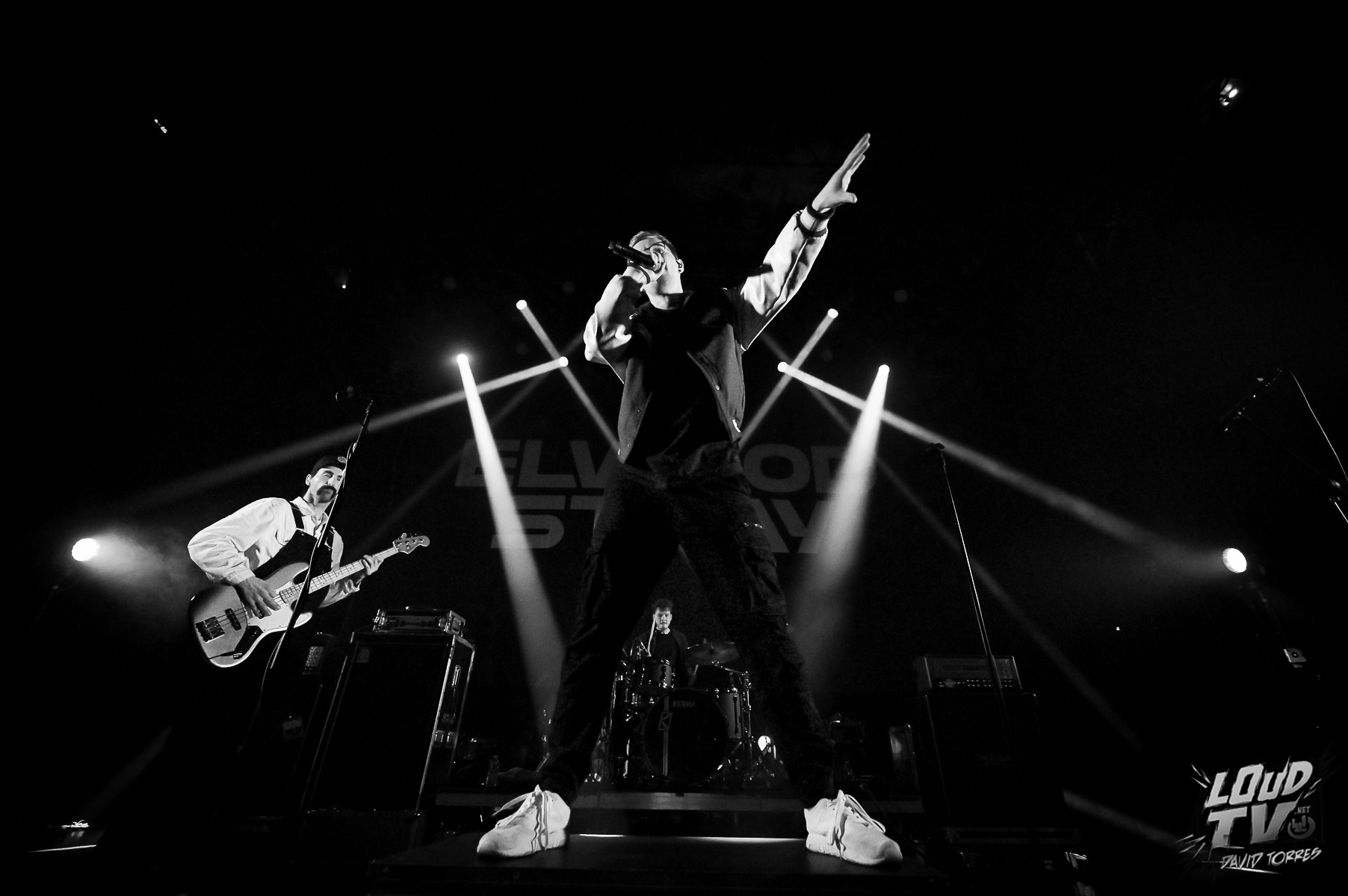 Stick To Your Guns, Bodysnatcher, Elwood Stray, No Cure / Le Metronum