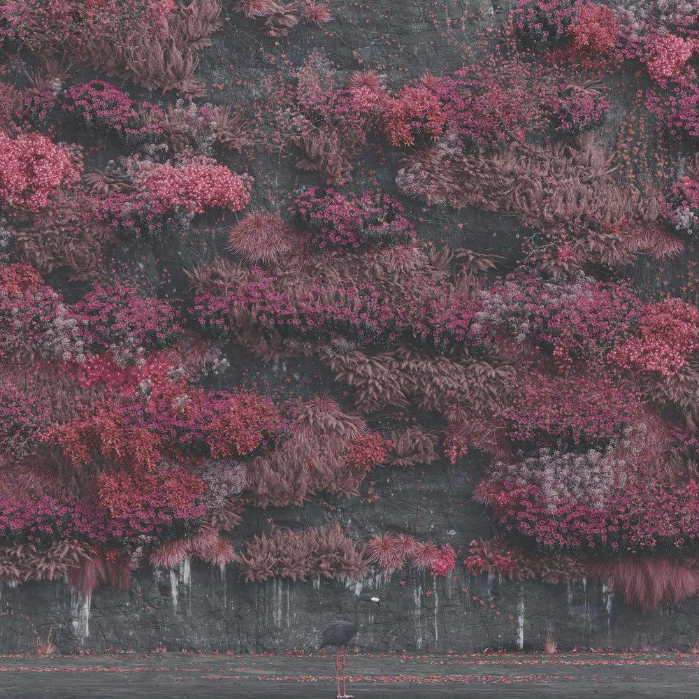 Graphisme magnifique de cette nouvelle oeuvre 