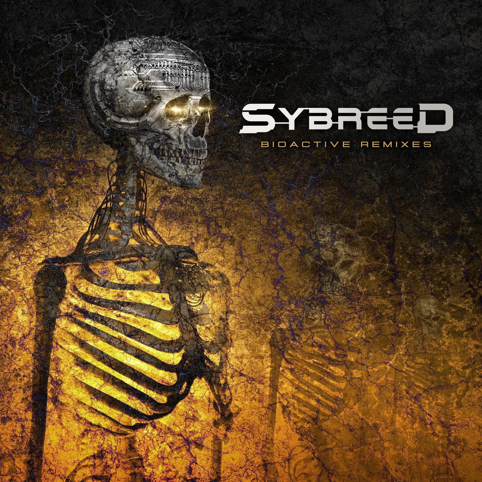 SYBREED : MAGNIFIQUE REPRISE DE TEARS FOR FEARS ET REEDITIONS LP
