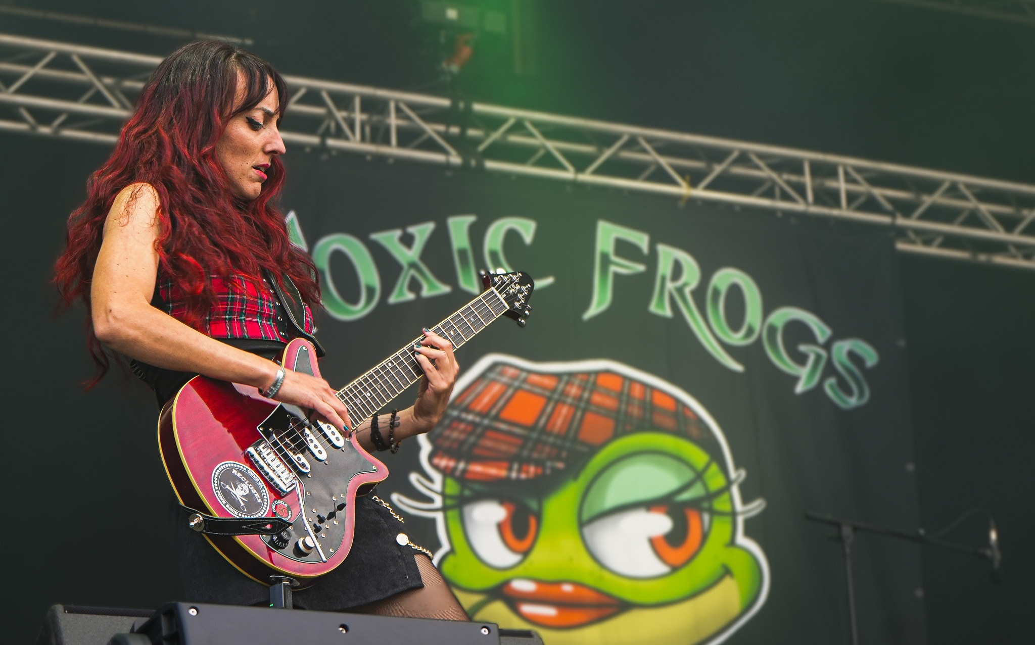 Toxic frogs