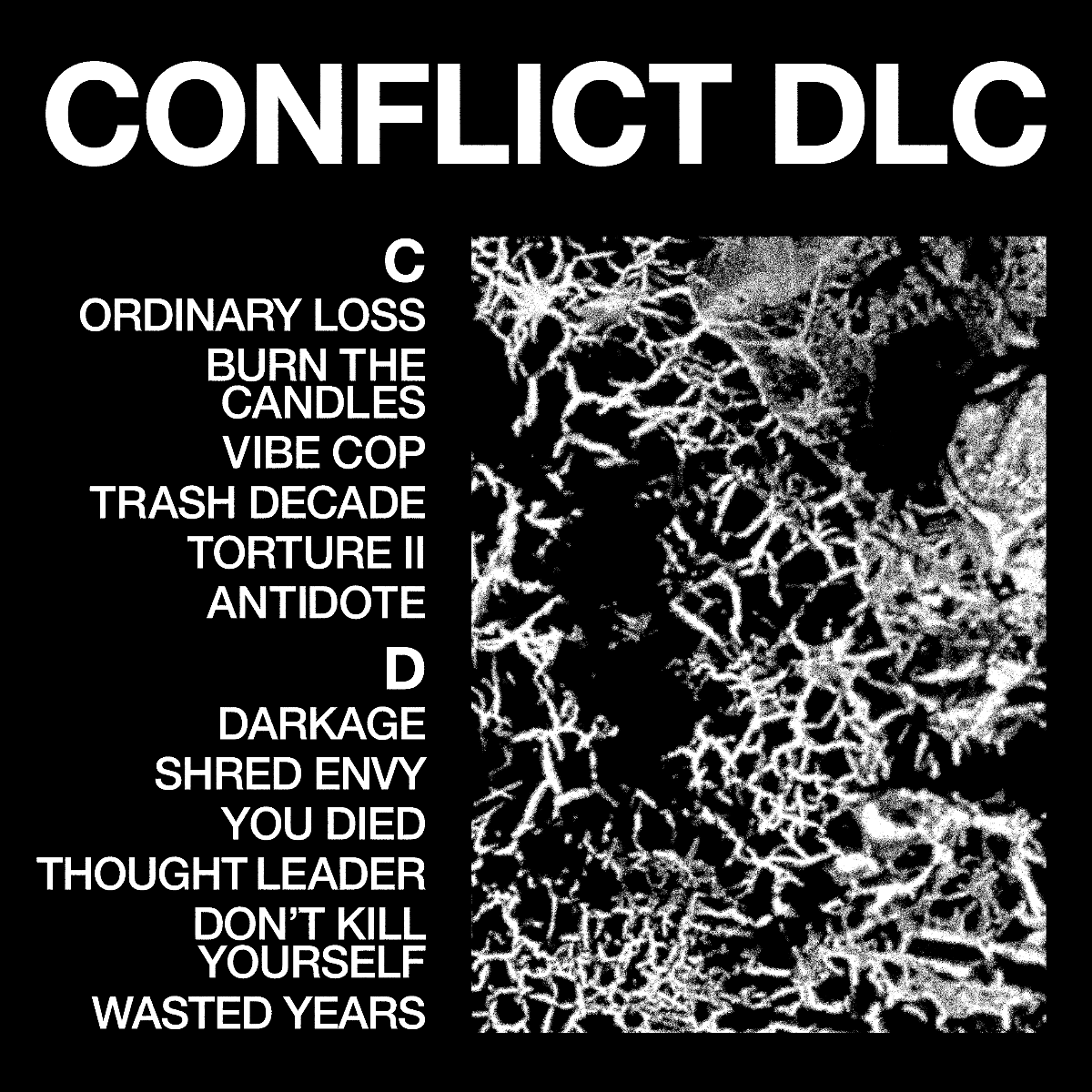 Health Album CONFLICT DLC